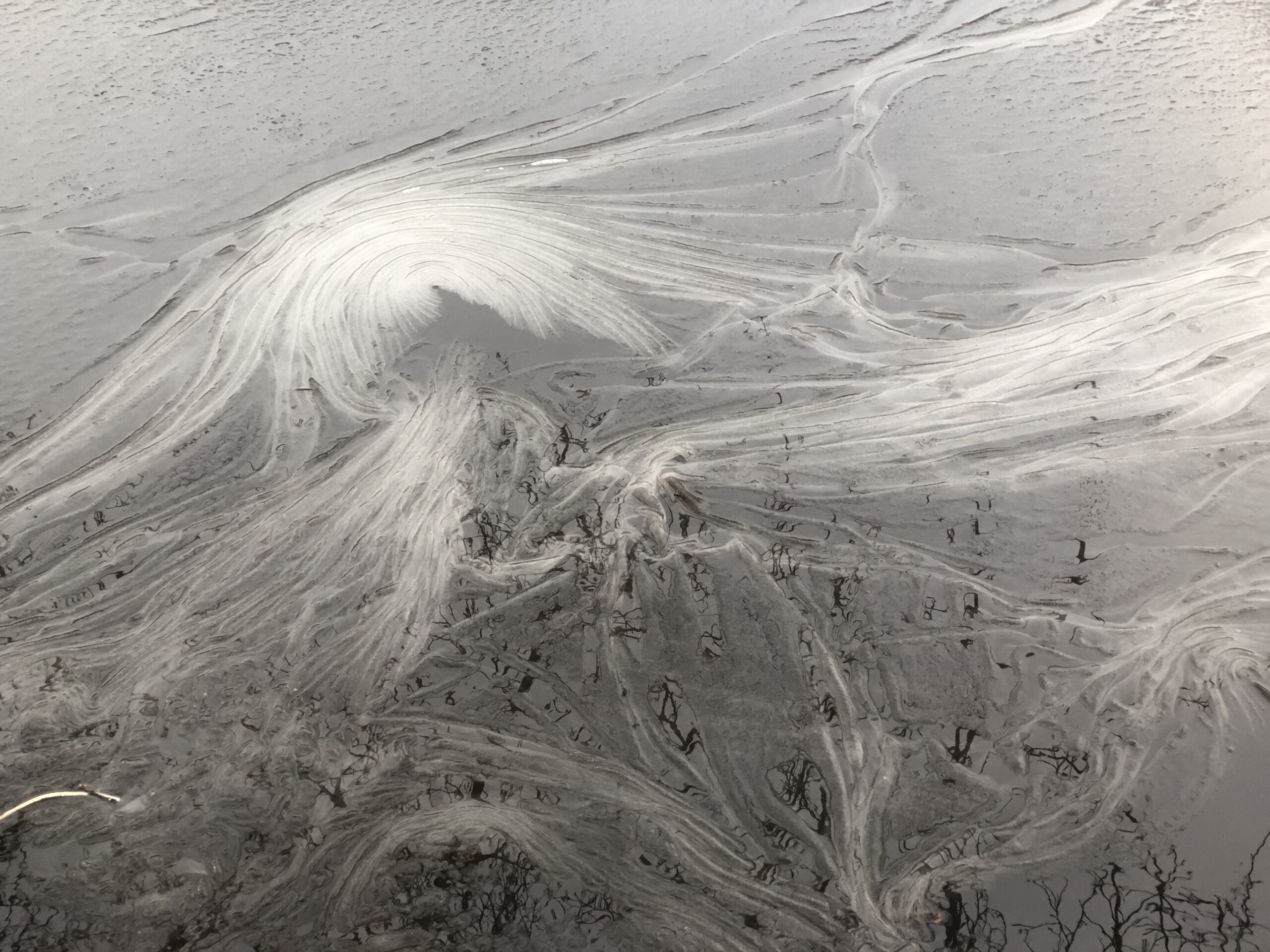 Seeoberfläche mit Eisresten