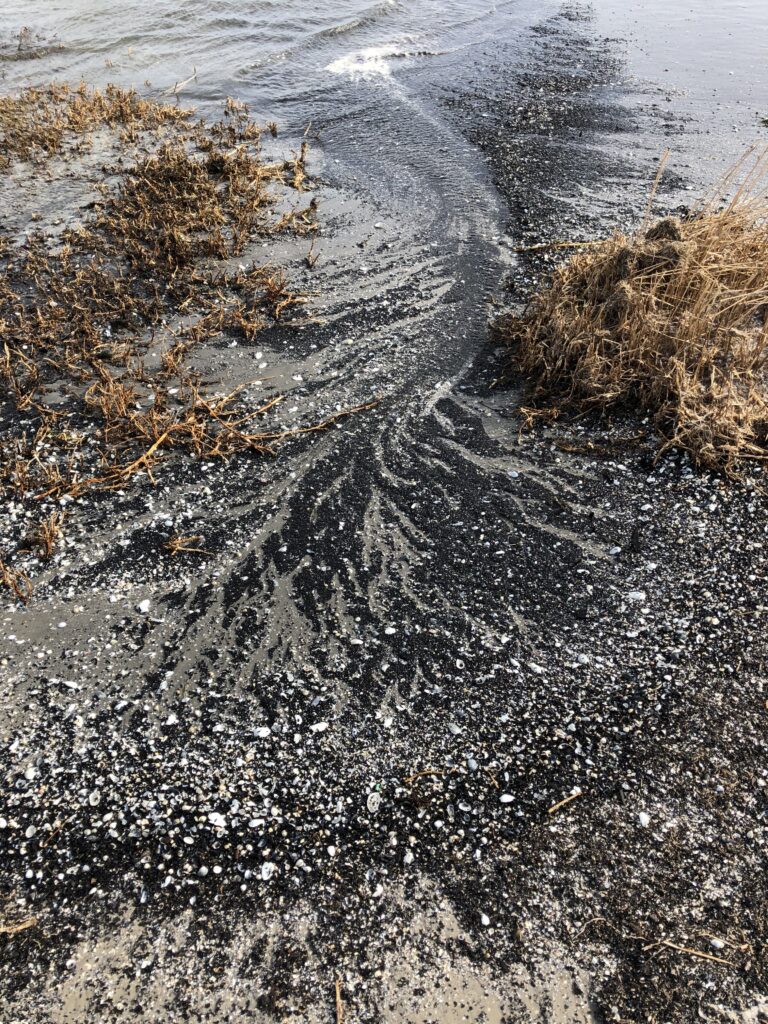 Spülsaum am Meer