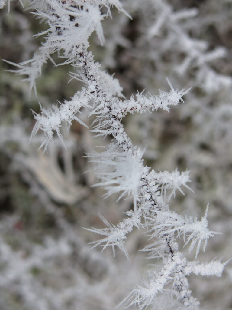 Kästchen mit großen Eiskristallen